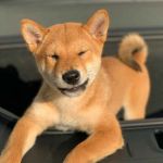 Rk Mwas Profile Picture