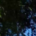 Elizabeth Kariuki Profile Picture