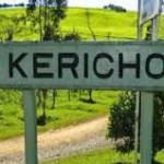 herman kipkirui Profile Picture