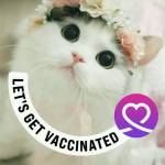 Teddy Rice Profile Picture