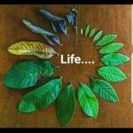 Kiplangat Stanley Profile Picture