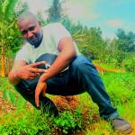 Paul Kamande Profile Picture