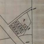 Wilson Kipsang Profile Picture