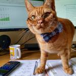 Kim Lakim Profile Picture