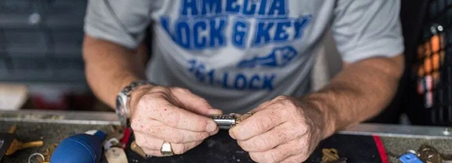 Amelia Lock & Key Cover Image