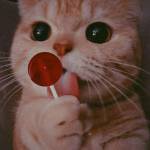 Beyonce Nyamoita Profile Picture