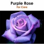 Julius Munyiri Profile Picture