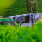 Samuel ded Profile Picture