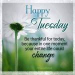 Wanjiku Naomi Profile Picture