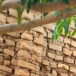 Musafiri Daniel Profile Picture