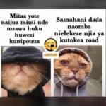 Ernest Jacobo Profile Picture