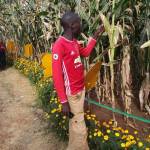 Mutai Benard Profile Picture