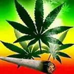 Star Mtui Profile Picture