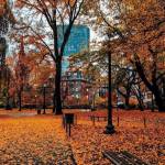 Davis Lagoon Profile Picture