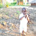 Saviour Dramuke Profile Picture