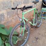 Cynthia Cherotich Profile Picture