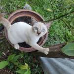 Anna meyya Profile Picture