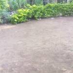 Samwel Oswald Profile Picture