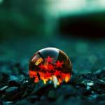 Maxwell Lesiamon Profile Picture