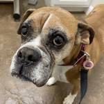 fabian Simon Profile Picture