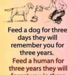 Kelvin Jose Profile Picture