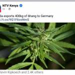 Rebecca Wairi Profile Picture