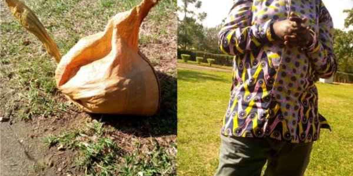 Man arrested with smuggled minerals in Nyagatare