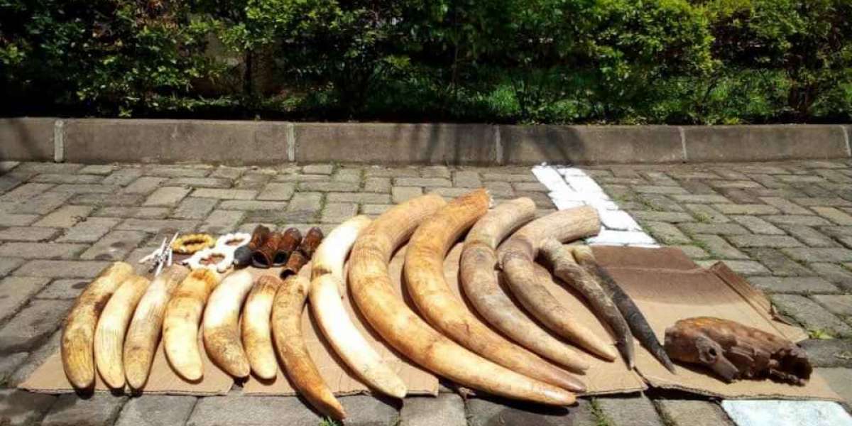 Four arrested over trafficking Ivory through Rwanda