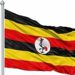 Tashobya Ali Profile Picture