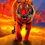 Byron Omondi Profile Picture