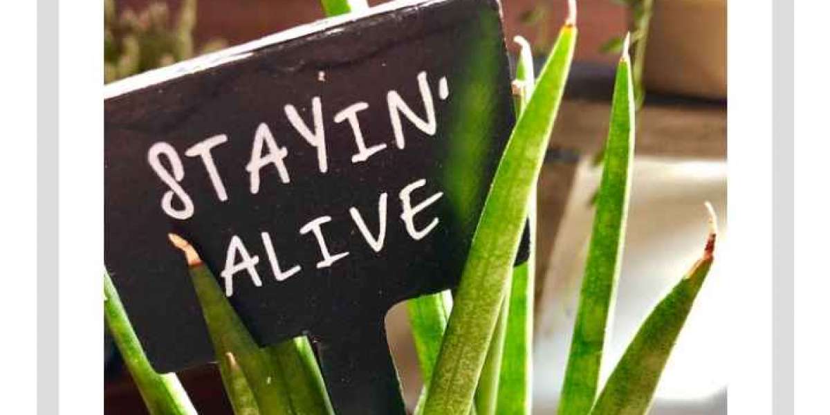 How it goes during interviewing applying for a job