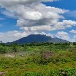 Jibril Ahamed Profile Picture