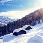 PEPESTAN STANZIONE Profile Picture