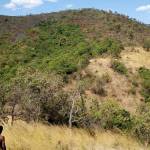 John Kiunga Profile Picture