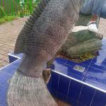 KAVUMA EMMANUEL Profile Picture