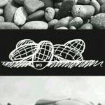 Grayson James Profile Picture