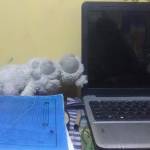 Daniel Kungu Profile Picture