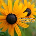 Sereya Tikani Profile Picture