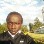 Matei Plimo Profile Picture