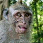 Nkatha Mbaya Profile Picture