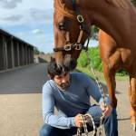 Fazza Hamdan Profile Picture