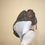 Ibrahim Massawe Profile Picture