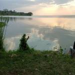 Mary Njeri Profile Picture