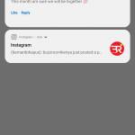 Bernardo Kapus Profile Picture