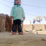 Muhammad Muslim Profile Picture