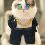 Mean Teen Profile Picture