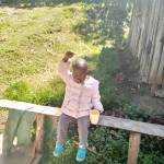 Yego Benjamin Profile Picture