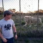 Nicolas Ludick Profile Picture