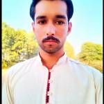 M Aamir Profile Picture