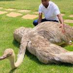 Victone Lwenya Profile Picture